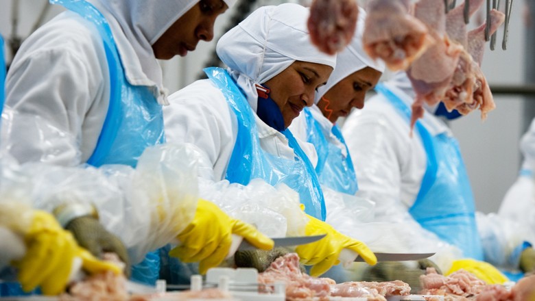 Egito vai importar derivados de frango do Brasil